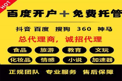 行业领先企业如何运用SEM运营推广